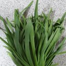 은희농장 이미지