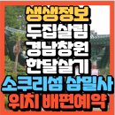 장복산길 | 생생정보 두 집 살림 100만 원으로 경남 창원 한 달 살기 소쿠리섬 장복산 삼밀사(+위치 배편예약방법)