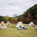 하나더김밥 네이버블로그