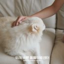 상대원 동물병원 이미지