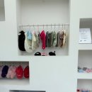 스타일펫 | 한남동 쇼룸 투어｜이미스 수버니어 한남 매장 방문기 &amp; 펫 프렌들리 공간 후기