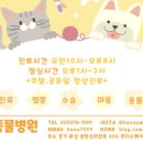 동탄해나동물병원 네이버블로그