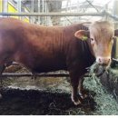 경기도축산진흥센터 이미지