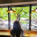 혜화,대학로) 모리셔스브라운 : 크로플,밀크티,카페라떼 솔직후기