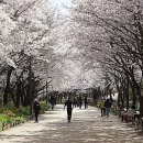 서울숲7 이미지