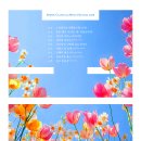 수성아트피아 소극장 이미지