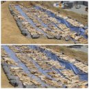 청주흥덕지구축구공원 이미지