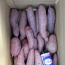고구마판매합니다
