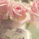 광평회관 이미지