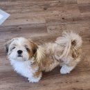 오늘도 너에개 이미지