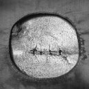 기장i동물의료센터 이미지