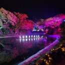 제주머무리 이미지