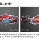 에스엠 메디케어 티스토리