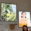 노크 | 서울 성수동 팝업스토어 핫플 놀거리 많은 노크 Knock 후기 화장품 브랜드