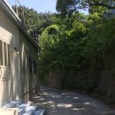 디자인스튜디오it.d | 부산 스튜디오 추천.스튜디오잇지&픽티오.셀프 웨딩촬영.내돈내산 후기˚⋆𖧷₊˚