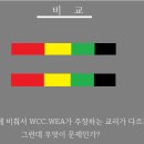 천국길 가로 막는 용감한 WCC.WEA 이미지