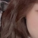엘레겐트헤어