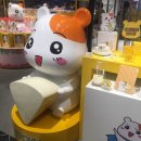신세계숙녀복 - 사하구 | 신세계숙녀복