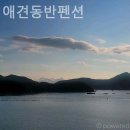 다옴 애견동반 펜션 이미지