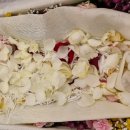 다대자연병원 이미지