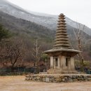 옥산리농로 이미지