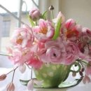 아침이슬 이미지