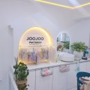 주주 펫 살롱 이미지