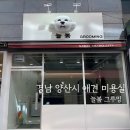 늘봄 그루밍 이미지