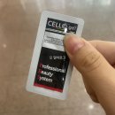 르네 헤어뷰티 이미지