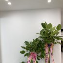 평거연합의원 이미지