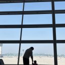 레몬비 부산범표어묵점 | [일본 / 마쓰야마] 응애와 함께한 두번째 해외여행 ,제주항공, 꼬치맛집, 마쓰야마성, 우설맛집