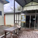 담온가 | 숯가마 찜질방/ 미나리 삼겹살 &amp; 오리구이 맛집 | 솔밭에 온가마 내돈내산 솔찍 후기 (Feat. 고양이 천국)