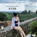 호근정원 | [ 제주도 서귀포 감성숙소 ] 자쿠지가 아름다운 감귤밭속 호근정원 : 1박 후기
