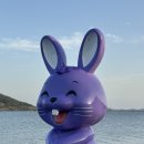 다리섬카페 | 신안 퍼플교 다녀온 솔직 후기 / 위치 주차 퍼플샵 퍼플섬 반월카페 리뷰