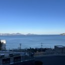 오션테라 이미지