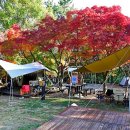 천황자동차야영장 이미지