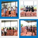 의령농협 가례지점 이미지