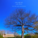 나무의노래 | 🎬 1/23 (금) 영화 '나무의 노래' 시사회 후기 [코엑스 메가박스]