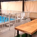 키즈 엔 팜 이미지