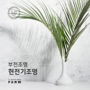 현전기조명