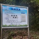 뒷골참샘 이미지