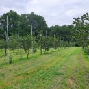 청전농장 이미지