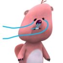하피케이커리 네이버블로그
