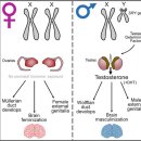 정시스템 이미지