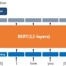 버트 BERT 이미지