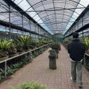 숨도 귤림성 | 🌺 제주 동백 명소, 숨도 귤림성 다녀온 후기