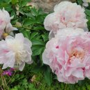 라온OK공인중개사사무소 이미지