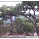 해·달·별 이미지