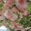 꽃가람펜션 이미지