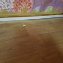 경북통신 이미지